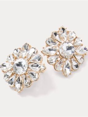 NWT Lilly Pulitzer Spicy Socialite Stud Earrings